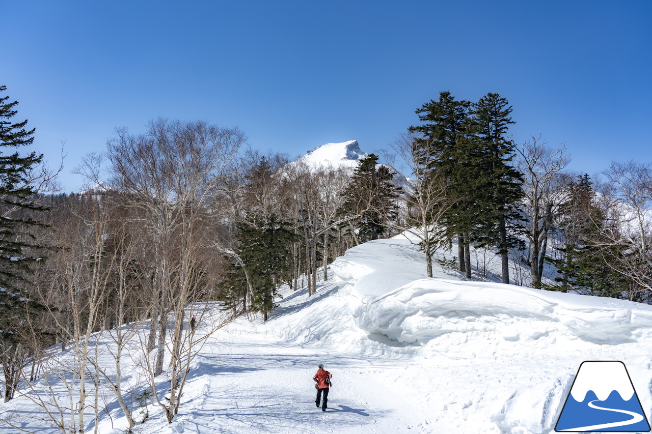 大雪山層雲峡・黒岳ロープウェイスキー場｜只今の積雪 360cm！『神々の遊ぶ庭』に降り積もる雪は、やはり別物でした(^^)v